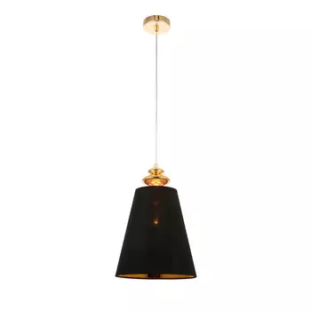 Подвесной светильник Evoluce RIONFO SL1137.203.01