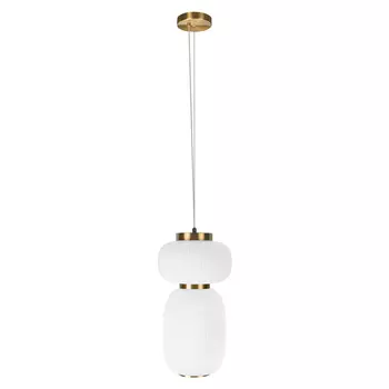 Подвесной светильник LOFT IT Duff 10422/B