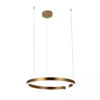 Подвесной светильник Loft IT Ring 10013L