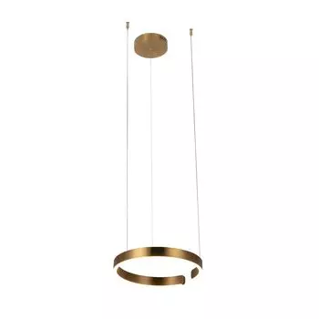 Подвесной светильник Loft IT Ring 10013S