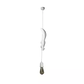 Подвесной светильник Loft IT Sherwood 10092