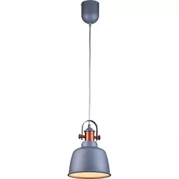 Подвесной светильник Lucia Tucci INDUSTRIAL INDUSTRIAL 1820.1 SAND SILVER