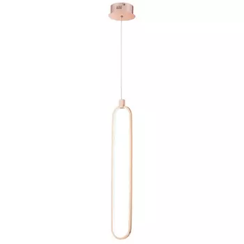 Подвесной светильник Maytoni Chain MOD017PL-L13G