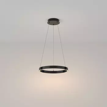 Подвесной светильник Maytoni Modern Rim MOD058PL-L22B3K