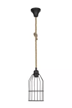 Подвесной светильник Toplight Alfreda TL1601H-01BK