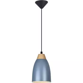 Подвесной светильник Toplight Leah TL0724H-2N