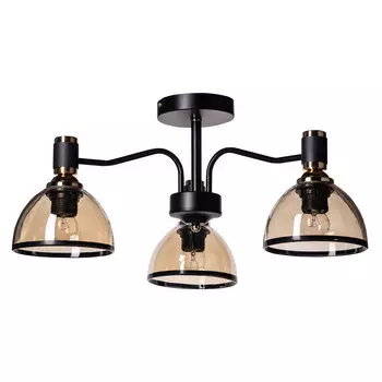 Потолочная люстра De Markt Дэла 635010903