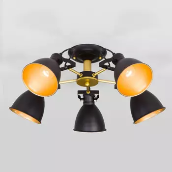 Потолочная люстра Eurosvet Denley a047637