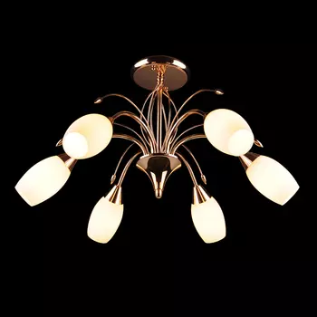 Потолочная люстра Eurosvet Ginevra 00000055940