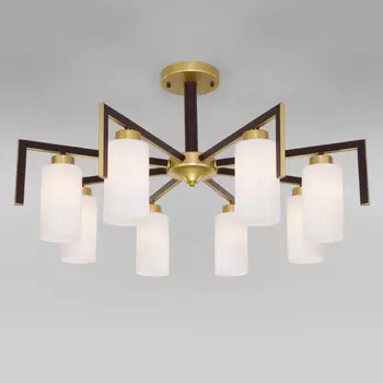 Потолочная люстра Eurosvet Palio a053432