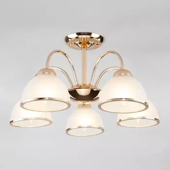 Потолочная люстра Eurosvet Shanon a051792