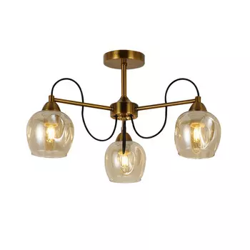 Потолочная люстра Evoluce ACRO SLE110002-03