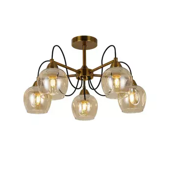 Потолочная люстра Evoluce ACRO SLE110002-05