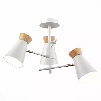 Потолочная люстра Evoluce ALFEO SLE1252-502-03