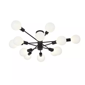 Потолочная люстра Evoluce ANO SL419.402.12