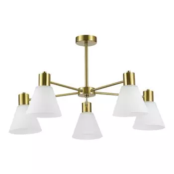 Потолочная люстра Evoluce ARKI SLE1561-302-05