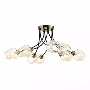 Потолочная люстра Evoluce BESANO SLE205302-08