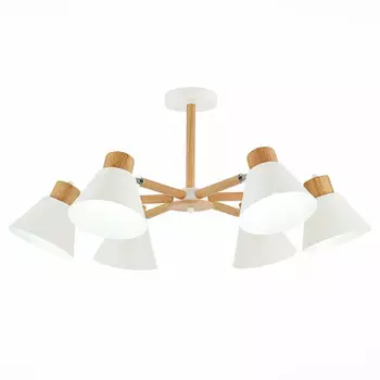 Потолочная люстра Evoluce BUVE SLE103702-06