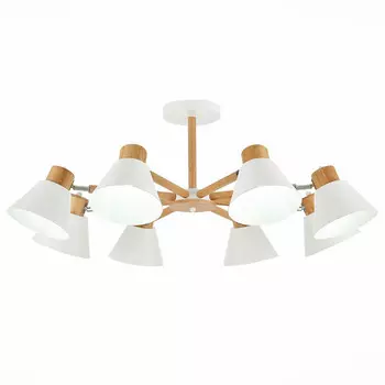 Потолочная люстра Evoluce BUVE SLE103702-08