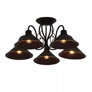 Потолочная люстра Evoluce CIOLLA SLE120402-05