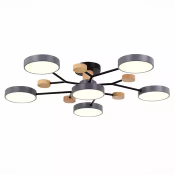 Потолочная люстра Evoluce FAEMA SLE6006-702-06