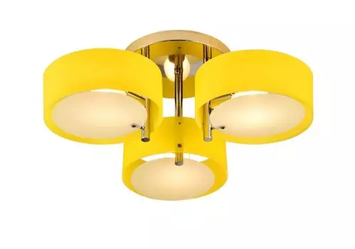 Потолочная люстра Evoluce FORESTA SL483.092.03