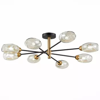 Потолочная люстра Evoluce GLOA SLE155502-08