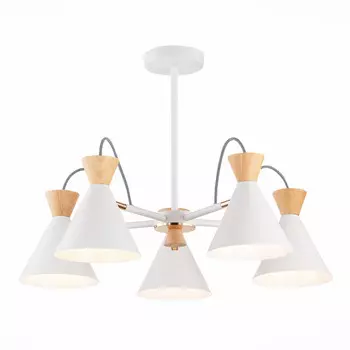 Потолочная люстра Evoluce Modica SLE125102-05