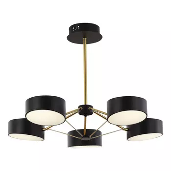 Потолочная люстра Evoluce на штанге MONTA LED SLE6005-402-05