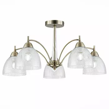 Потолочная люстра Evoluce NUELE SLE104402-05