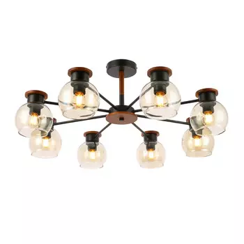 Потолочная люстра Evoluce RASCO SLE108102-08