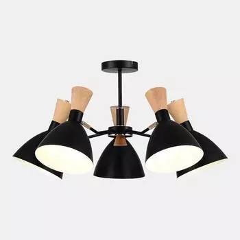 Потолочная люстра EVOLUCE SIERRA SLE1256-402-05