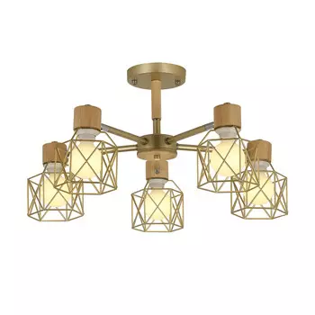 Потолочная люстра Evoluce STELITTO SLE110402-05