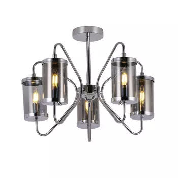 Потолочная люстра Evoluce VALIERI SLE102302-05