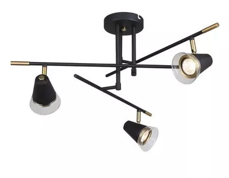 Потолочная люстра F-Promo Trandy 4618-3C