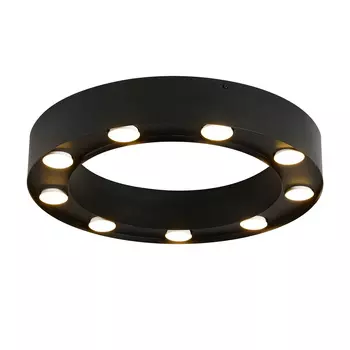 Потолочная люстра Favourite Attica 3007-9U