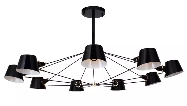 Потолочная люстра Favourite Eimer Black 1512-9P