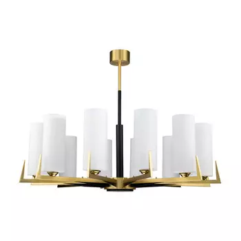 Потолочная люстра Favourite Maximo 2623-12P