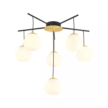 Потолочная люстра Favourite Paramount 3047-6P