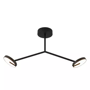 Потолочная люстра Favourite Paritet 4401-2C