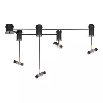 Потолочная люстра Loft IT Flock 10189/1000