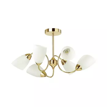 Потолочная люстра Lumion DARLENE 4532/6C