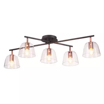 Потолочная люстра Lumion DEMI 4455/5C