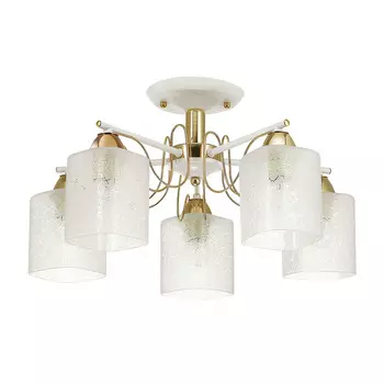 Потолочная люстра Lumion Opicus 3508/5C