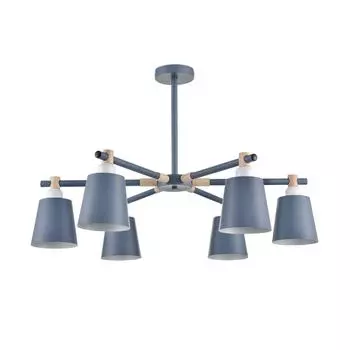 Потолочная люстра Lumion ROSALINA 8098/6C