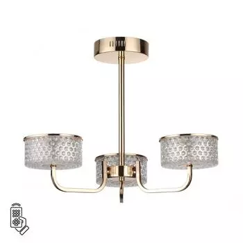 Потолочная люстра на штанге LUMION VENICE 6579/40CL