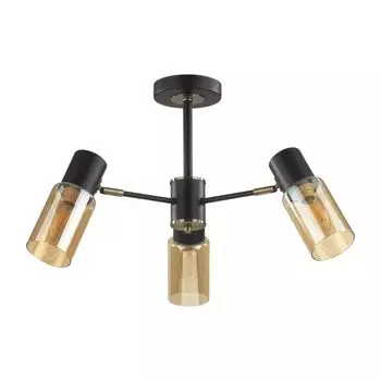 Потолочная люстра RONNIE Lumion 5644/3C