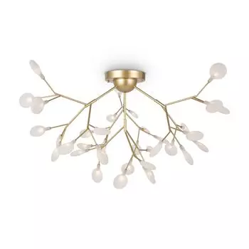 Потолочная люстры Freya Florencia FR5049CL-36G