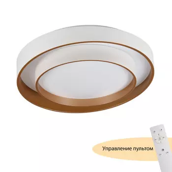 Потолочные светильники MyFar Rhea MR9161-CL
