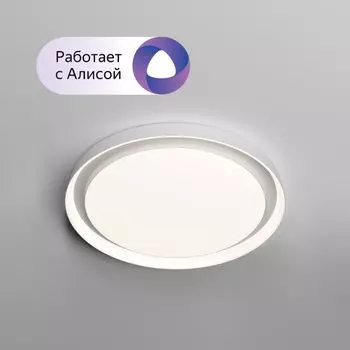 Потолочный накладной светильник Denkirs DK6516-WH